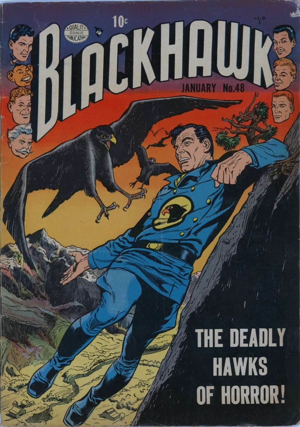 Book Cover For Blackhawk 48