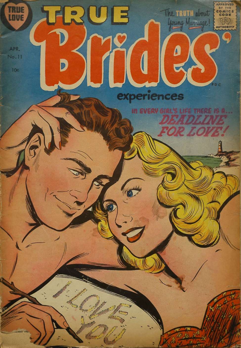 Comic Book Cover For True Brides' Experiences 11