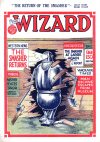 Cover For The Wizard 557