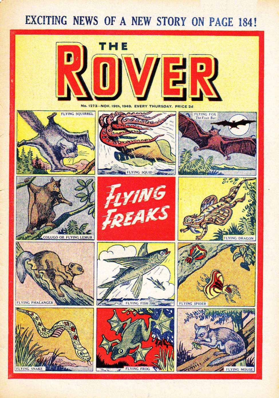 Book Cover For The Rover 1273