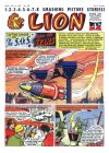 Cover For Lion 282