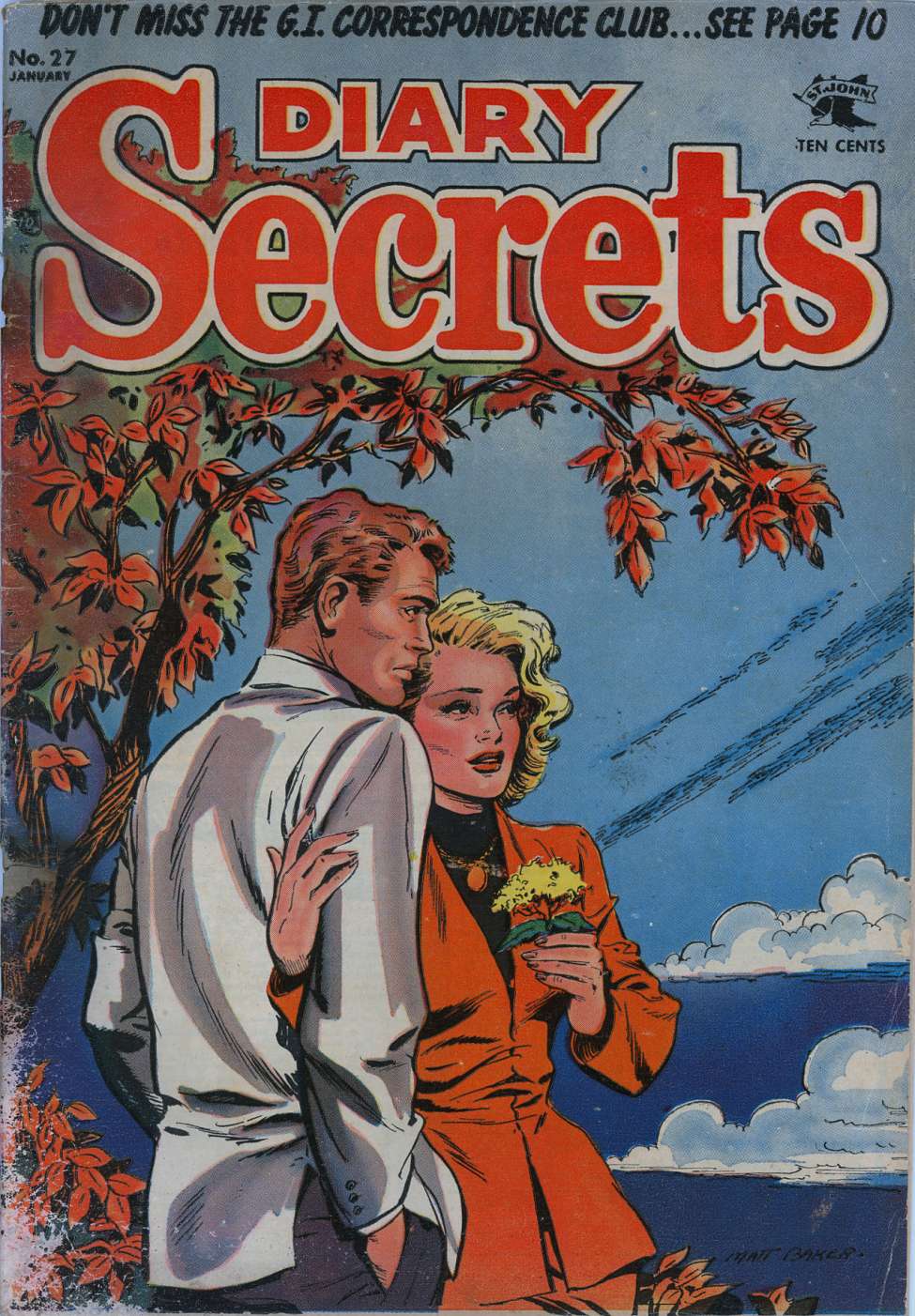 Book Cover For Diary Secrets 27