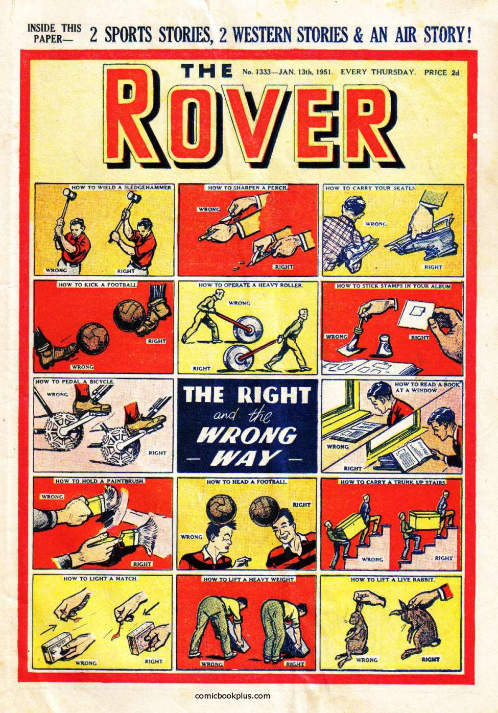 Book Cover For The Rover 1333