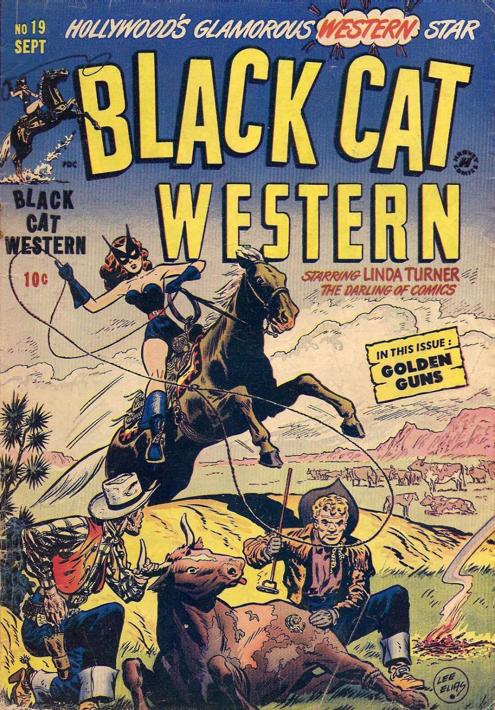 Comic Book Cover For Black Cat 19