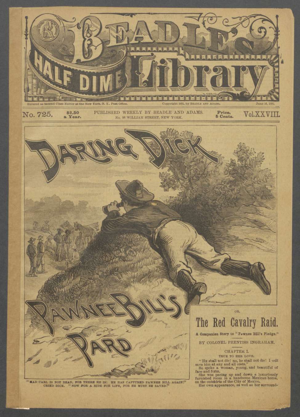Book Cover For Beadle's Half Dime Library 725 - Daring Dick, Pawnee Bill's Pard