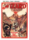 Cover For The Wizard 739