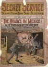 Cover For Secret Service 193 - The Bradys in Mexico