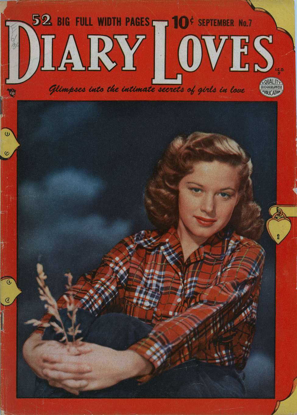 Book Cover For Diary Loves 7