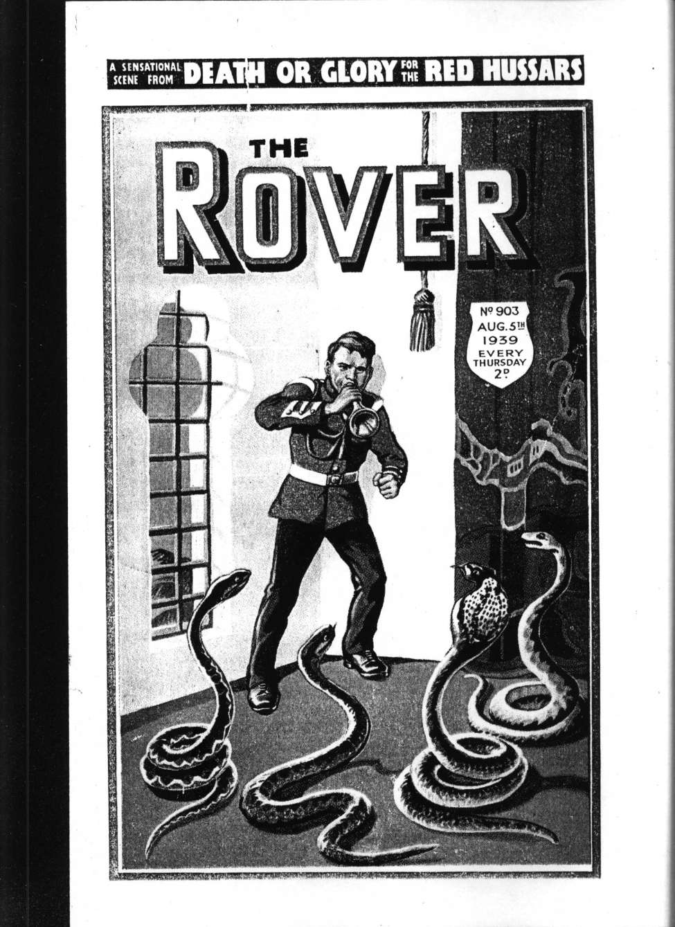 Book Cover For The Rover 903