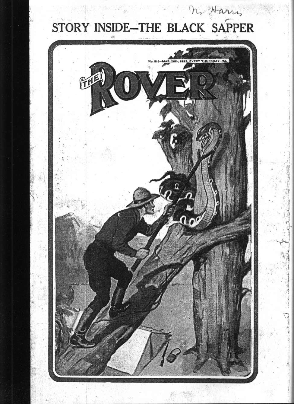 Book Cover For The Rover 519