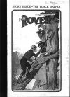 Cover For The Rover 519