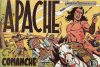 Cover For Apache 20 - Comanche