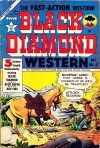 Cover For Black Diamond Western 47