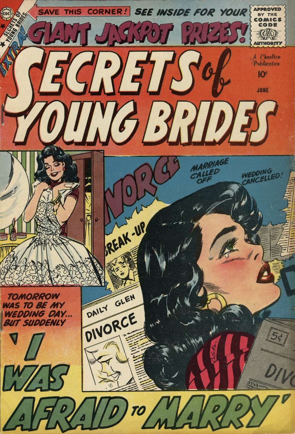 Book Cover For Secrets of Young Brides 14