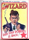 Cover For The Wizard 635