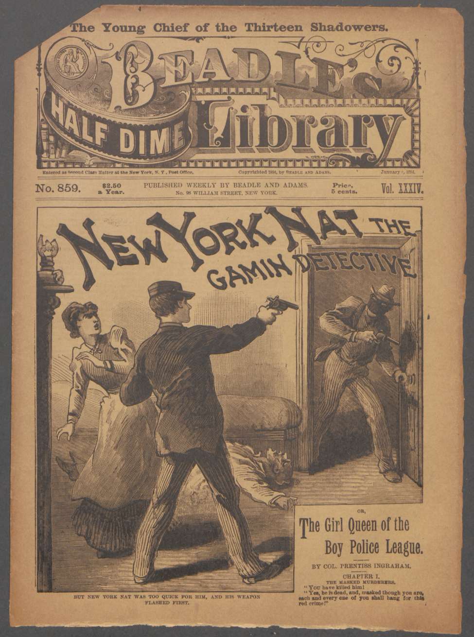 Book Cover For Beadle's Half Dime Library 859 - New York Nat, the Gamin Detective