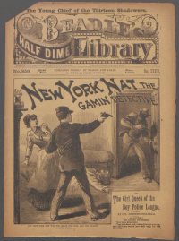Large Thumbnail For Beadle's Half Dime Library 859 - New York Nat, the Gamin Detective