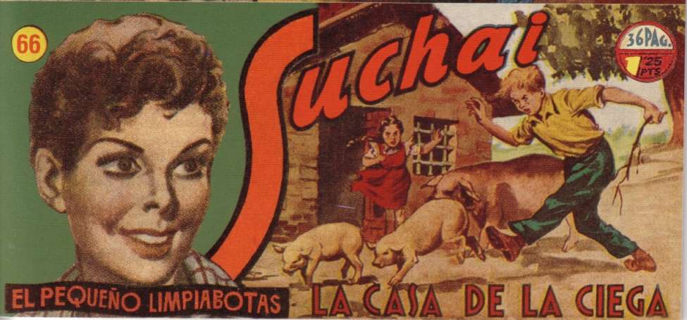 Book Cover For Suchai 66 - La Casa de la Ciega