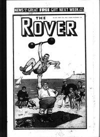 Large Thumbnail For The Rover 907