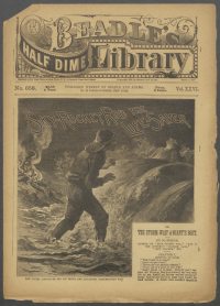 Large Thumbnail For Beadle's Half Dime Library 658 - Sky-Rocket Rob, the Life-Saver