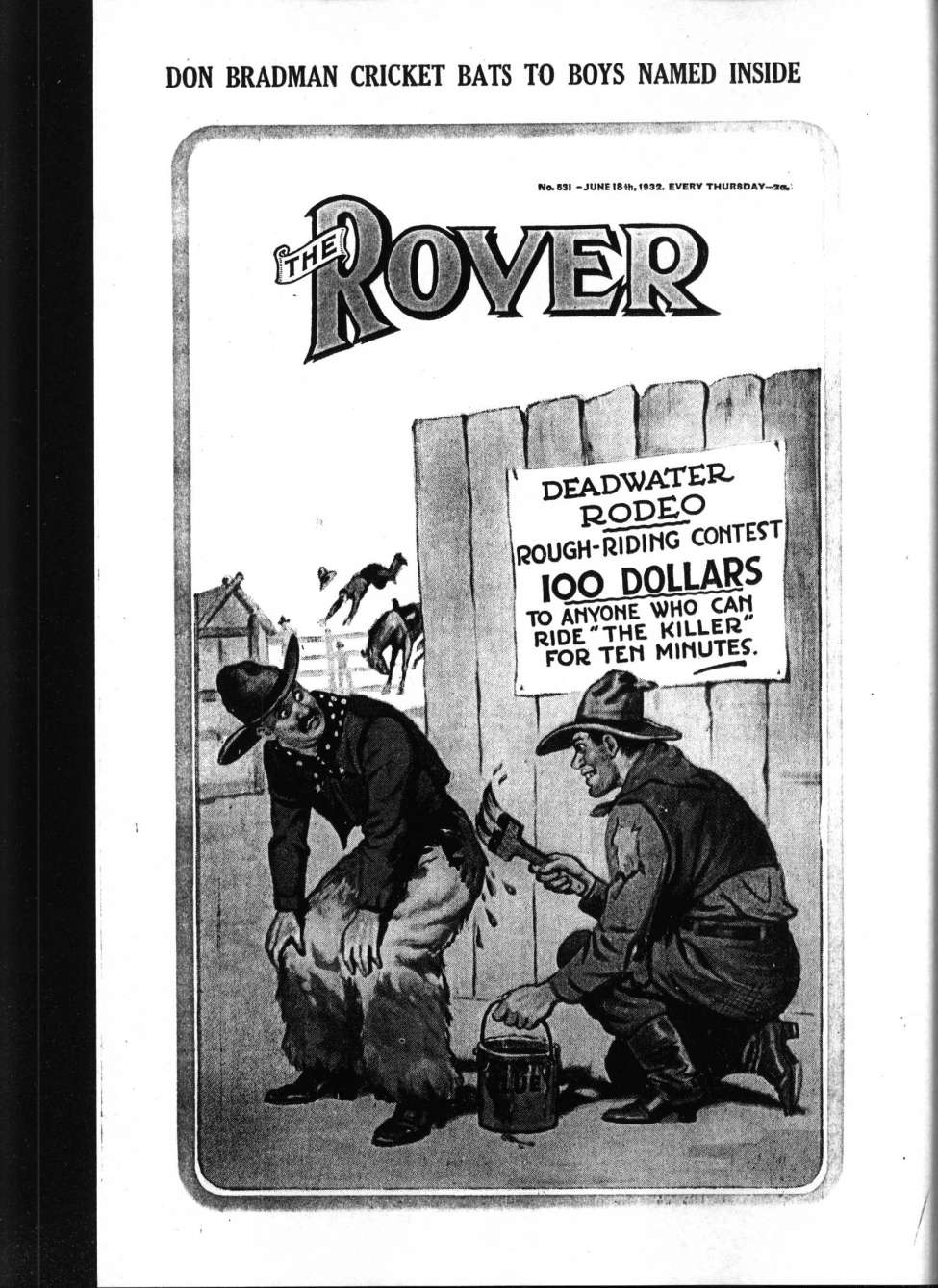 Book Cover For The Rover 531