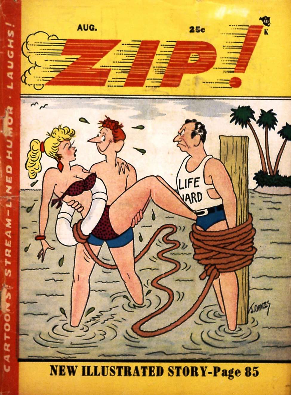 Book Cover For Zip! 8
