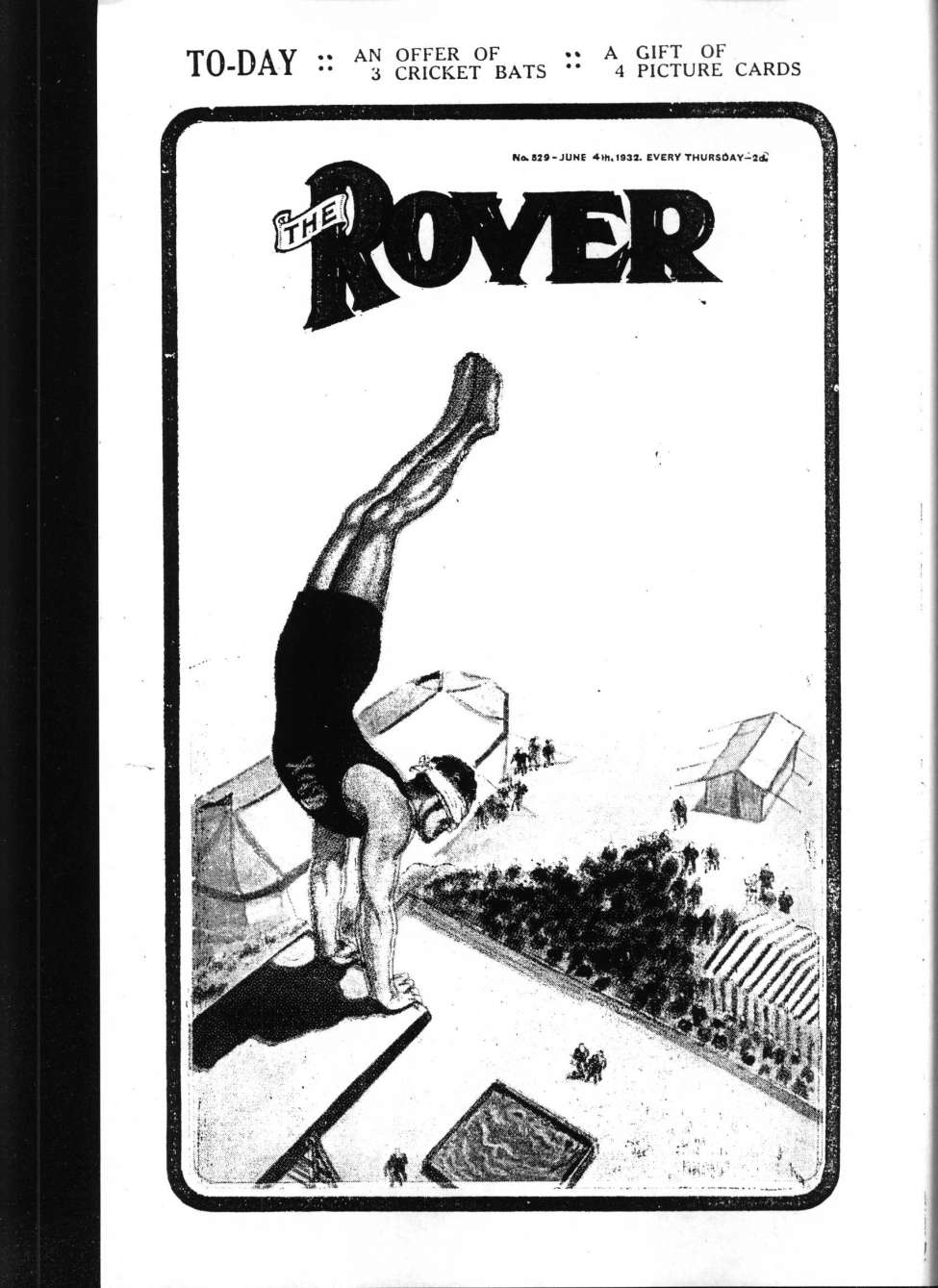 Book Cover For The Rover 529