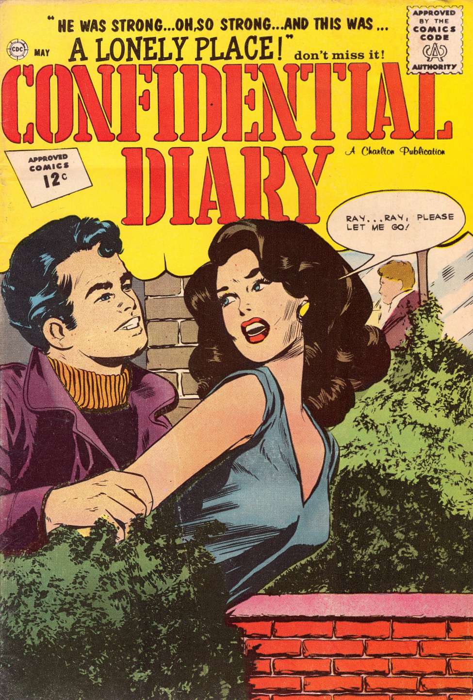 Comic Book Cover For Confidential Diary 12