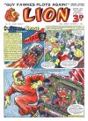 Cover For Lion 38