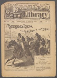 Large Thumbnail For Beadle's Half Dime Library 640 - Bareback Beth the Centaur of the Circle