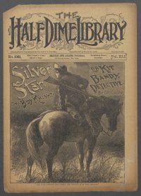 Large Thumbnail For Beadle's Half Dime Library 1061 - Silver Star, the Boy Knight