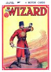 Cover For The Wizard 595