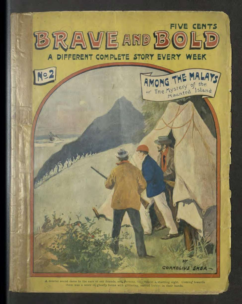 Book Cover For Brave and Bold 2 - Among the Malays