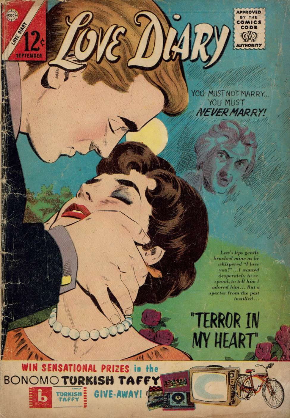 Comic Book Cover For Love Diary 29