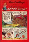 Cover For The Adventures of Peter Wheat 48