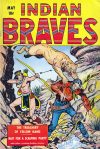 Cover For Indian Braves 2