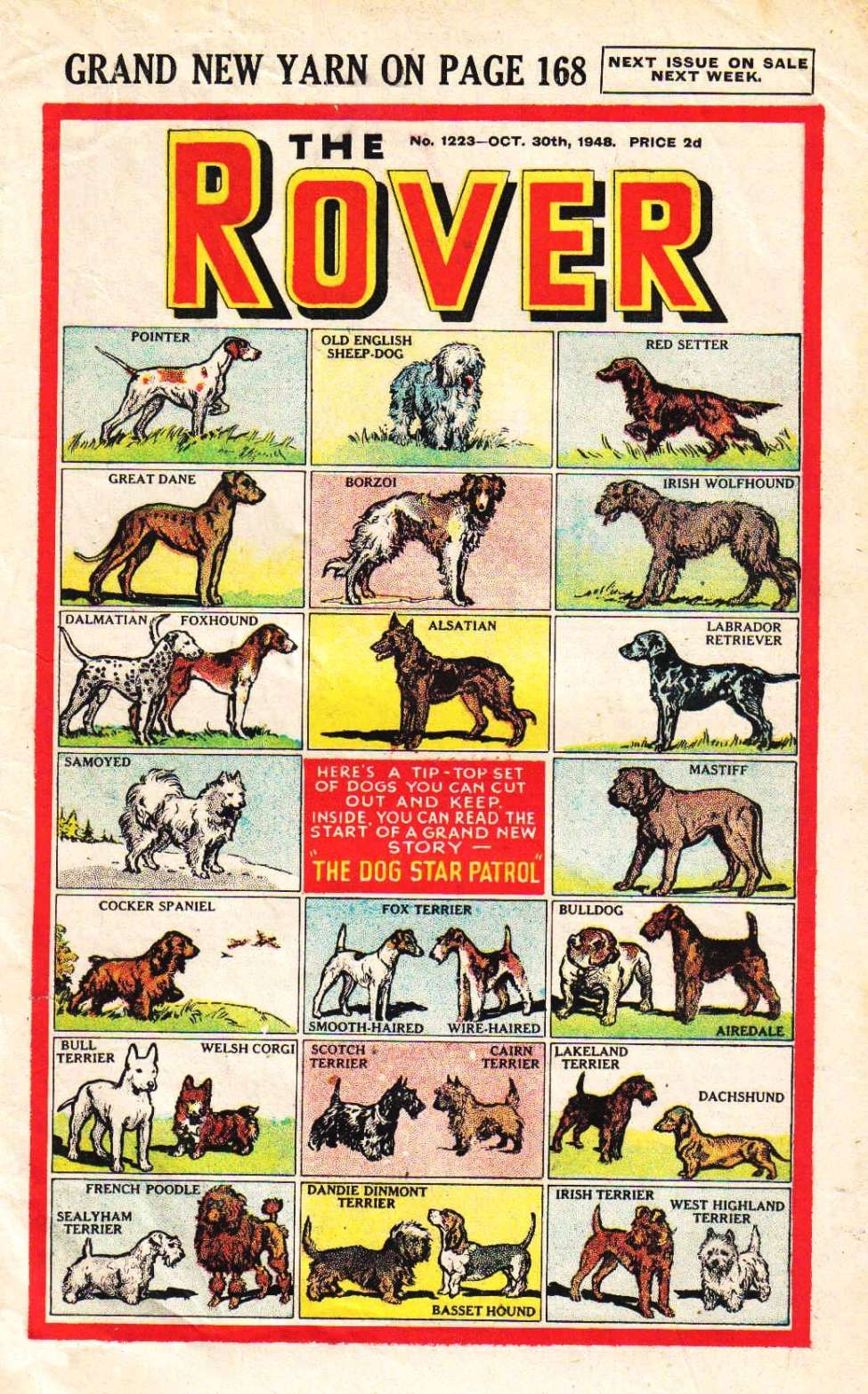 Comic Book Cover For The Rover 1223