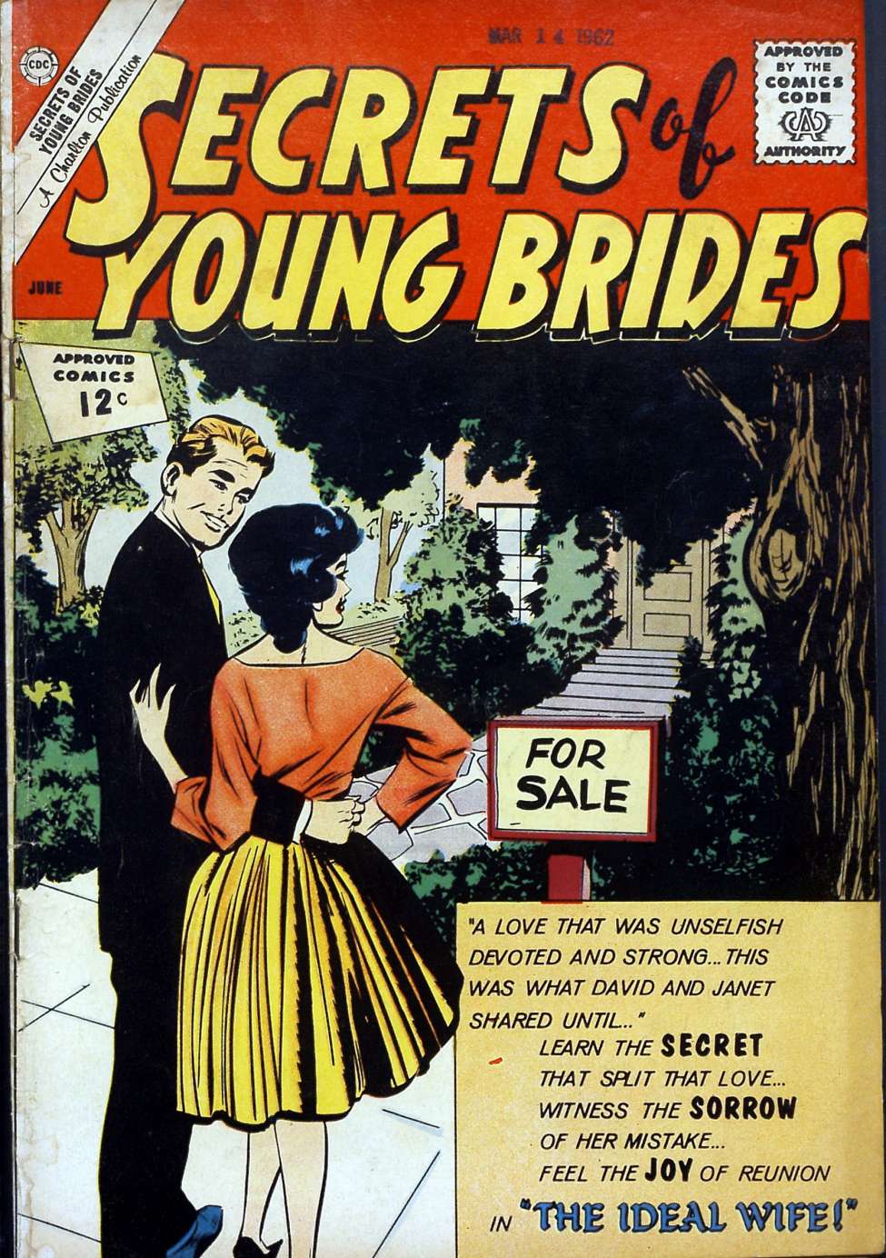 Comic Book Cover For Secrets of Young Brides 31