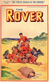 Cover For The Rover 1002