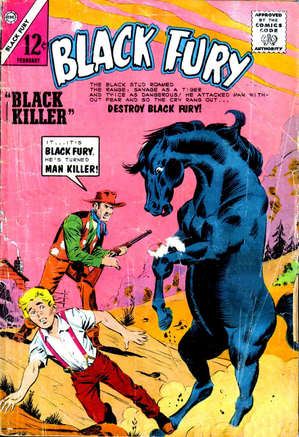 Comic Book Cover For Black Fury 46
