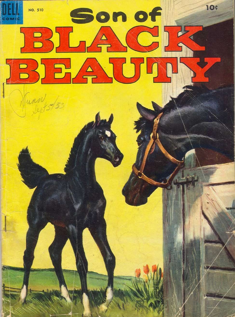 Comic Book Cover For 0510 - Son of Black Beauty