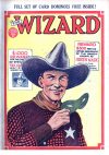 Cover For The Wizard 633