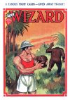 Cover For The Wizard 616