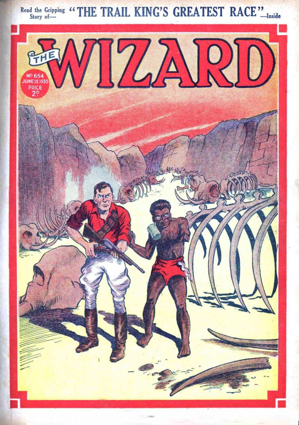 Book Cover For The Wizard 654