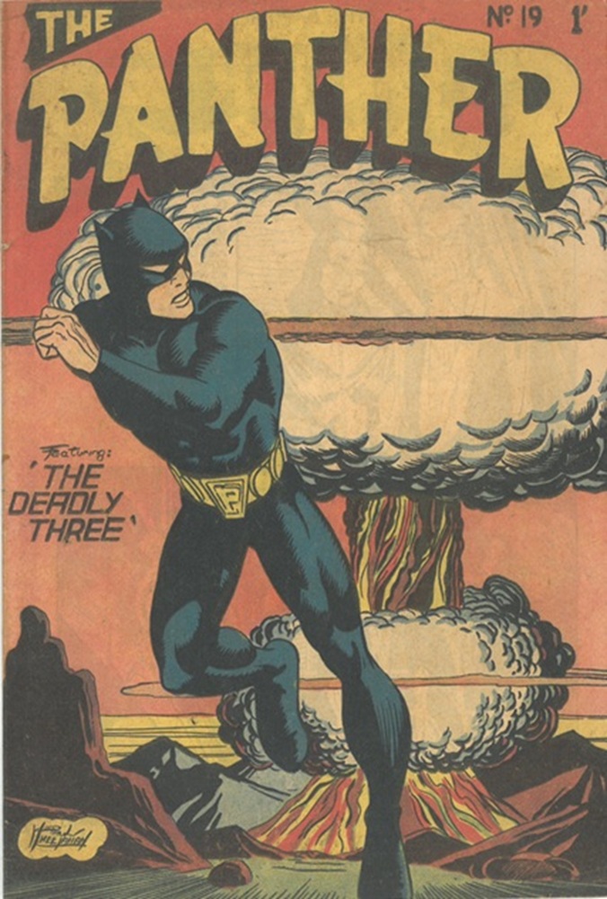 Book Cover For The Panther 19