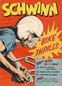Large Thumbnail For Schwinn Bike Thrills - Version 1