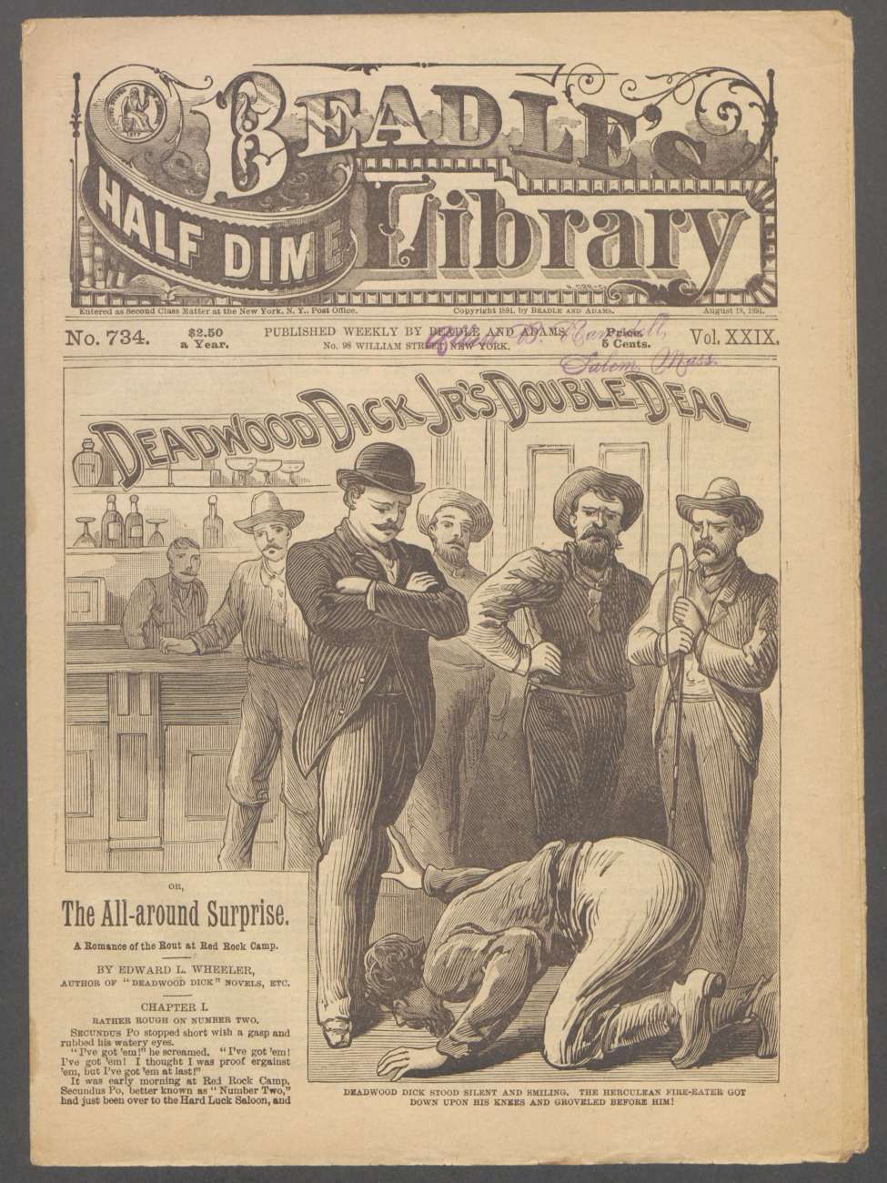 Book Cover For Beadle's Half Dime Library 734 - Deadwood Dick Jr.'s Double Deal
