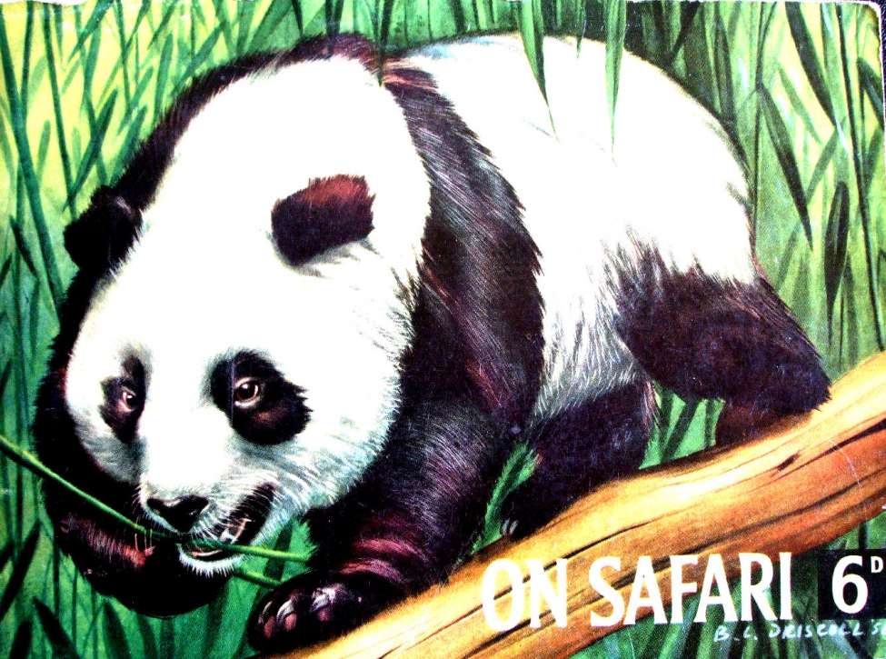 Book Cover For On Safari 1958