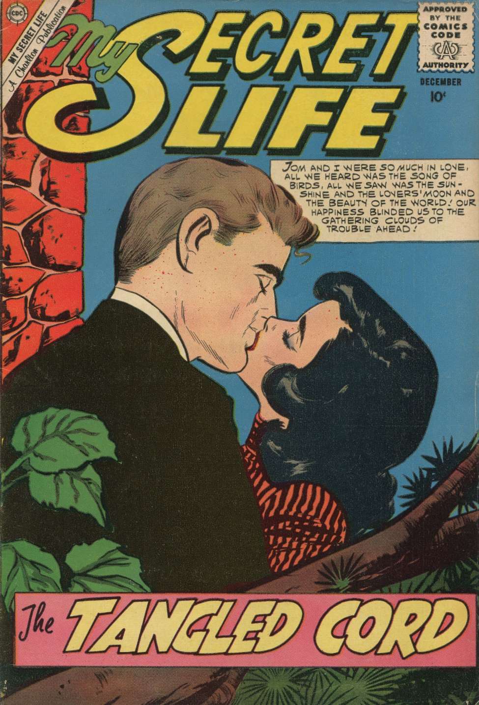 All secret Life codes