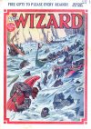 Cover For The Wizard 793